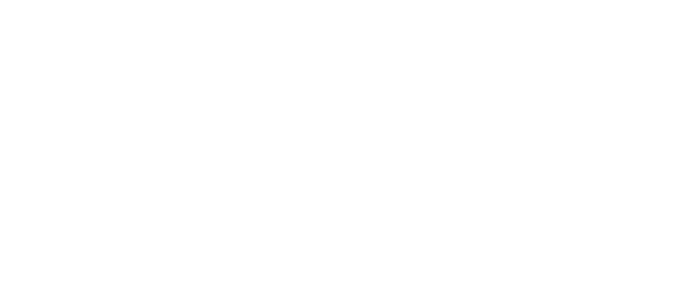 provider